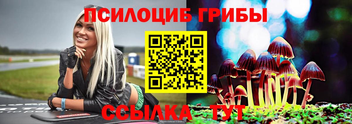 Псилоцибиновые грибы мицелий Энгельс